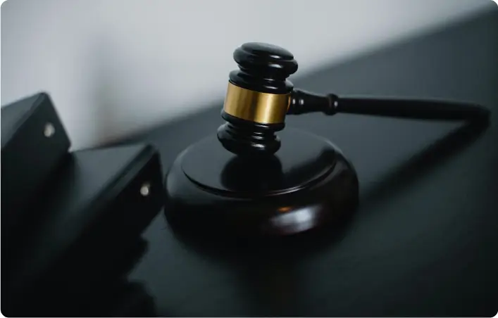 Gabble laying on a judge's desk